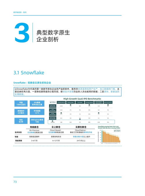 云原生时代 数字原生企业全景视图